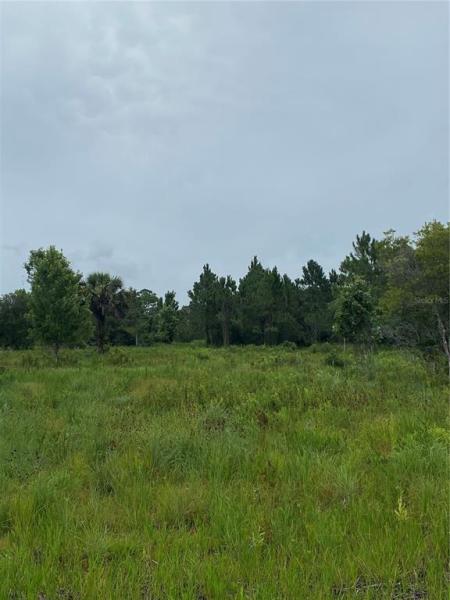 BRIDLEWOOD RANCES PRCL 28