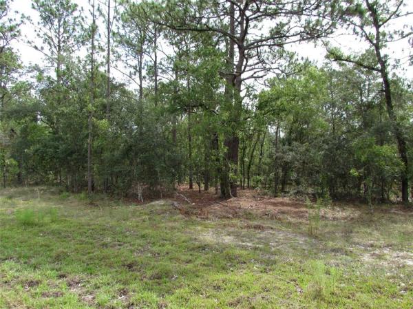 RAINBOW LAKES ESTATE