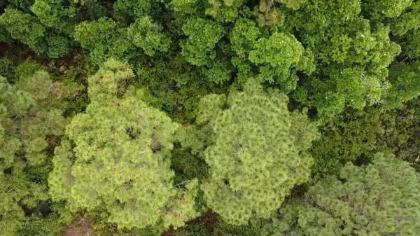 POINCIANA NBRHD 02 WEST VILLAGE 07