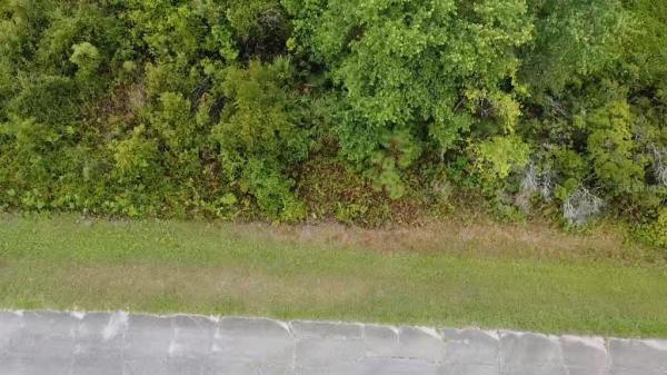 POINCIANA NBRHD 02 WEST VILLAGE 07