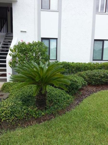 EAST LAKE WOODLANDS CYPRESS ESTATES