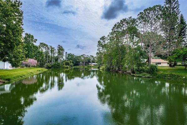 TARPON WOODS 4TH ADD