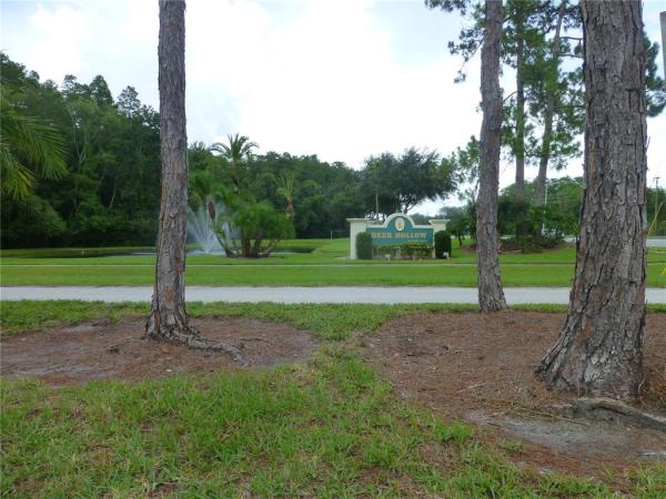 PINE RIDGE AT LAKE TARPON VILLAGE