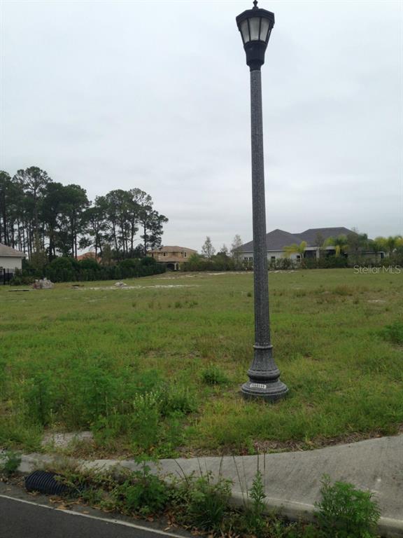 KEENES POINTE UN 10 - фото