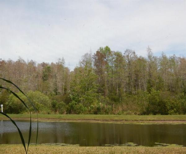 WINDCREST AT MEADOW WOODS 51 21