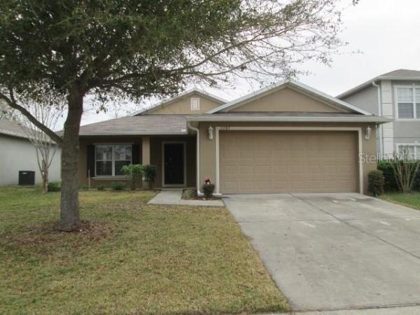 TAVARES MARTINS GROVE