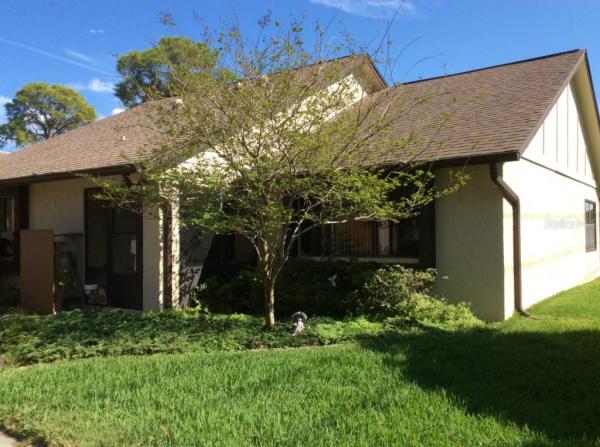 VILLAGE ON THE GREEN