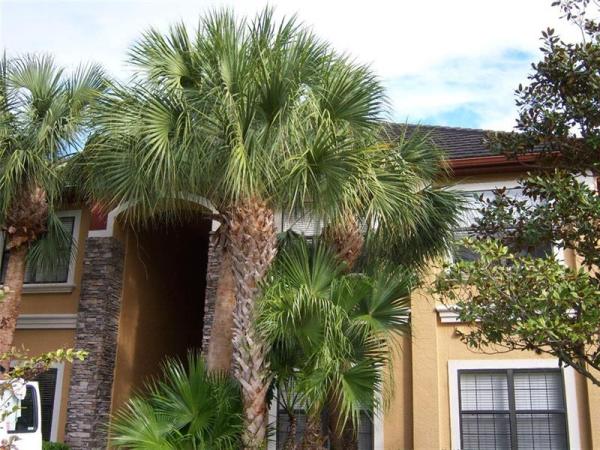 TUSCANY AT INNISBROOK CONDO