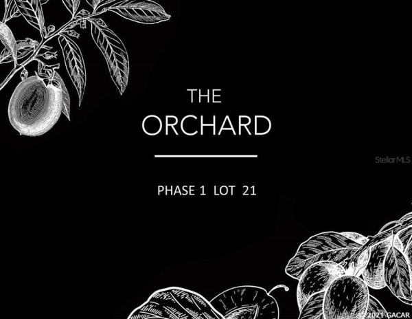 Flint Rock Agrihood/The Orchard