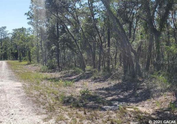 Rainbow Lakes Estates - Levy