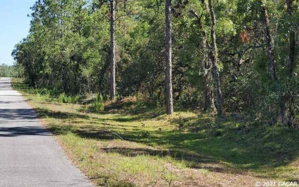 Rainbow Lakes Estates - Levy