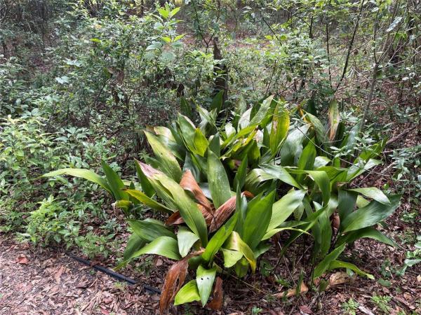 RAINBOW LAKES ESTATES SEC D