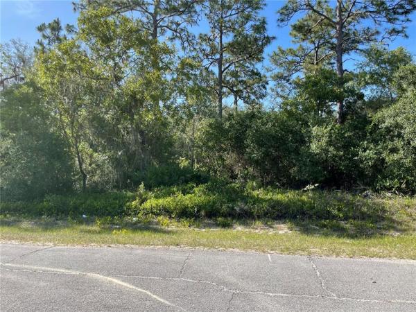 POINCIANA NBRHD 02 WEST VILLAGE 07