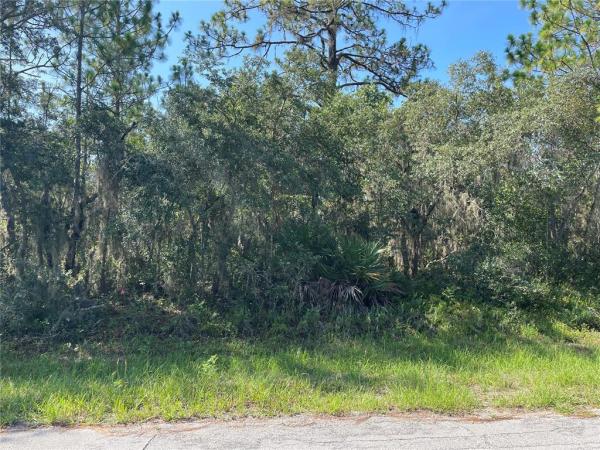 POINCIANA NBRHD 02 WEST VILLAGE 07