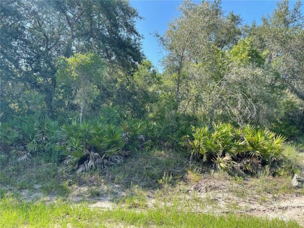 POINCIANA NBRHD 02 WEST VILLAGE 07