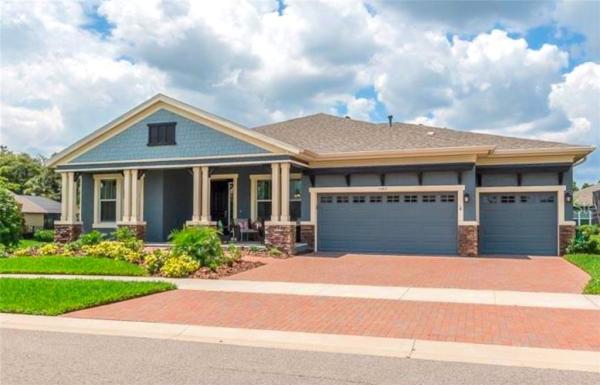 STARLING AT FISHHAWK