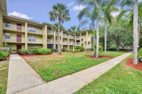 MEADOWLAKE PALM HARBOR CONDO