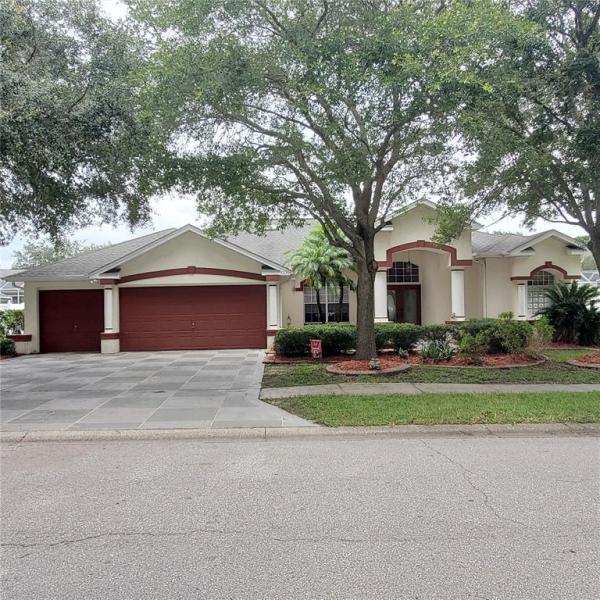 EPPING FOREST/ LAKE BERNADETTE
