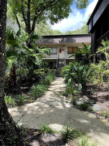 RAINTREE VILLAGE CONDO N