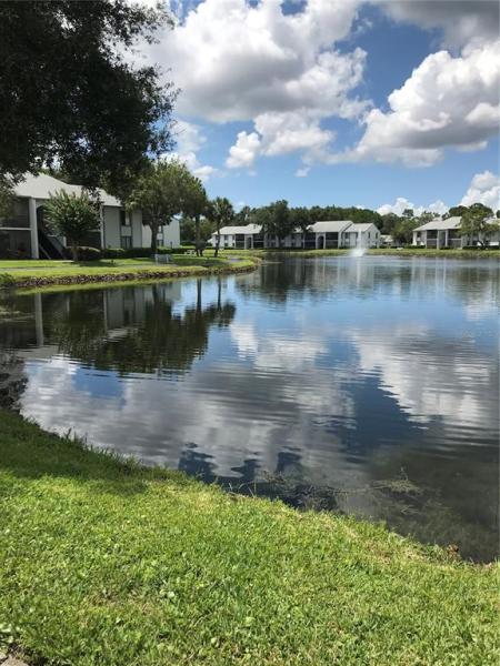 PINE RIDGE AT LAKE TARPON VILLAGE