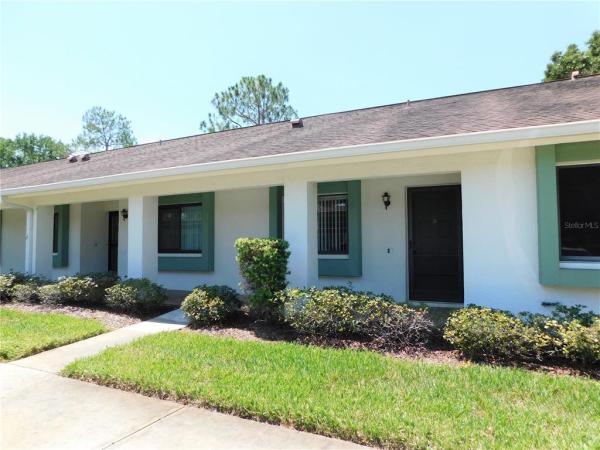 VILLAGE ON THE GREEN