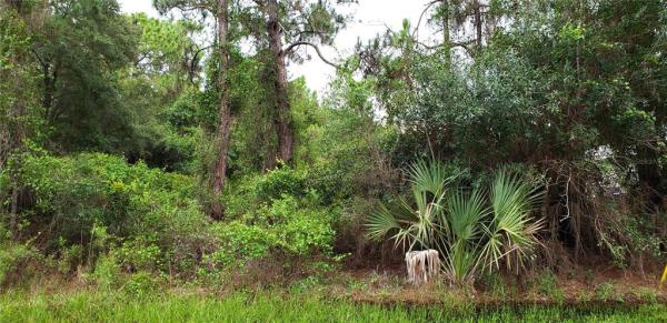 PORT CHARLOTTE SUB 28