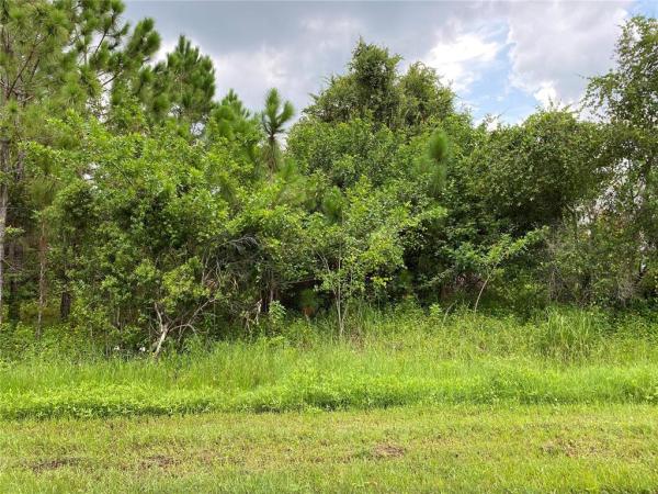 PORT CHARLOTTE SUB 34