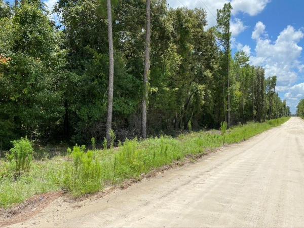 SUNCOAST ESTATES, INC.-REPLAT-