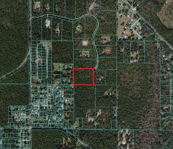 SILVER HAMMOCK PRESERVE