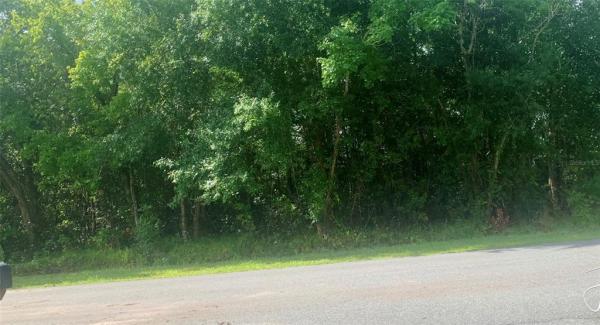 POINCIANA VILLAGE 01 NEIGHBORHOOD 02