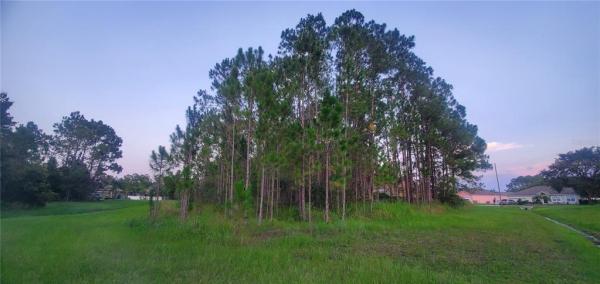 POINCIANA VILLAGE 02 NEIGHBORHOOD 01