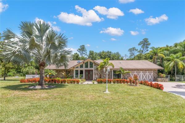 TAMPA & TARPON SPGS LAND CO