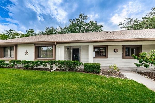 VILLAGE ON THE GREEN