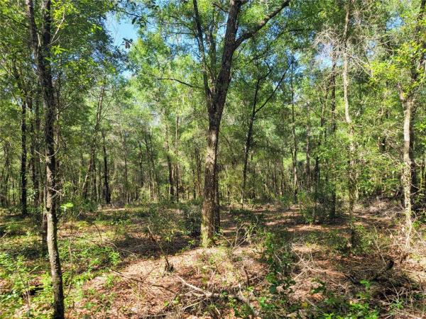 NORRIS DUPONT & GAUDRY GRANT