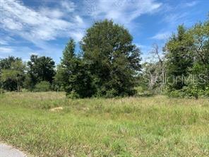 COURTNEY JANE ESTATES