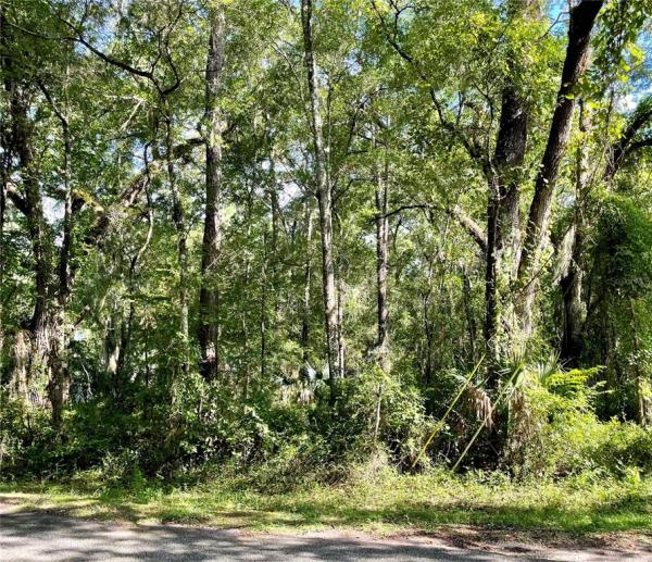 OCALA PARK ESTATES UN 01