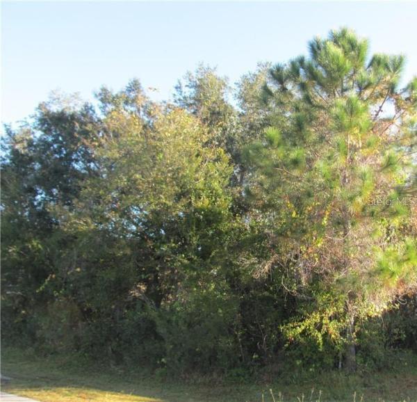 POINCIANA VILLAGE 05 NEIGHBORHOOD 01