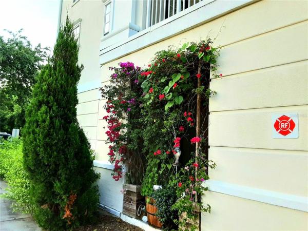 GEORGETOWN AT CELEBRATION