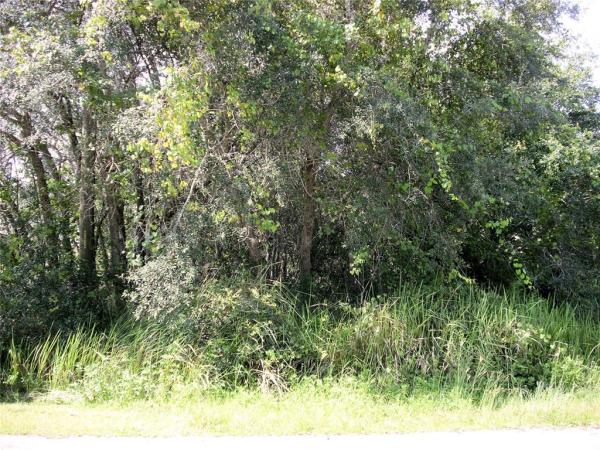 POINCIANA NBRHD 04 VILLAGE 07