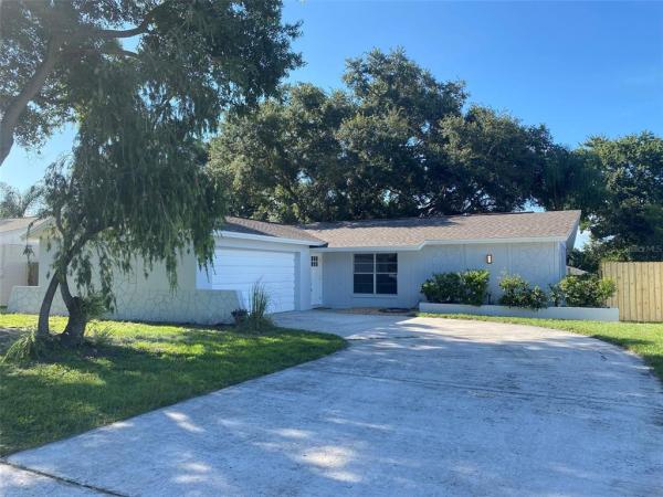 BRANDON-VALRICO HILLS ESTATES