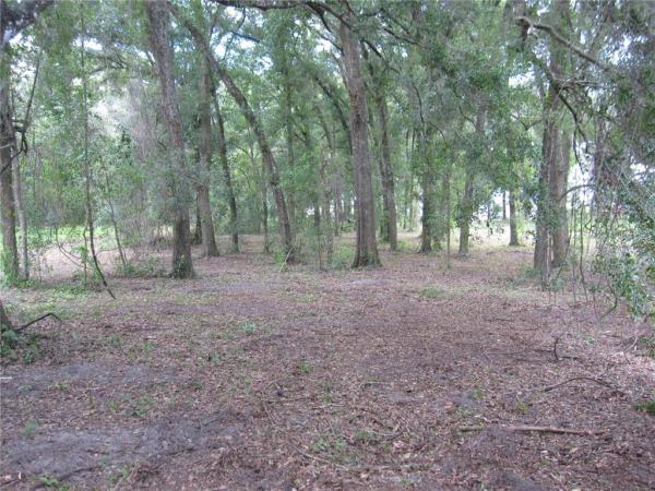 ZEPHYRHILLS COLONY CO