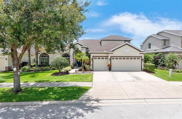 PANTHER TRACE PH 2B-2