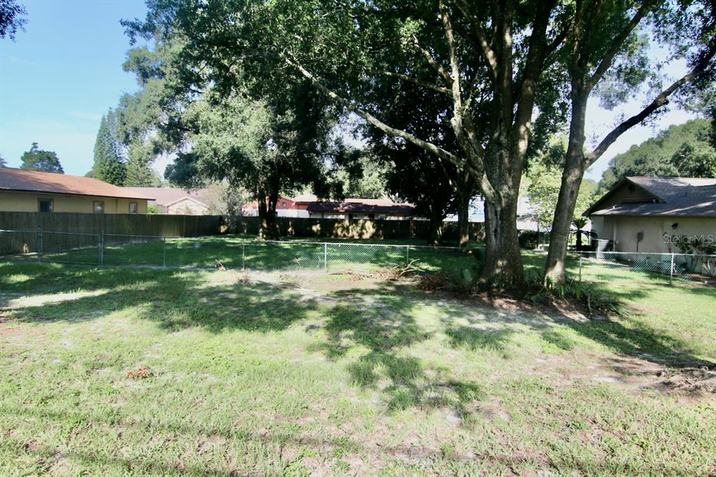 MORAN GROVES - фото