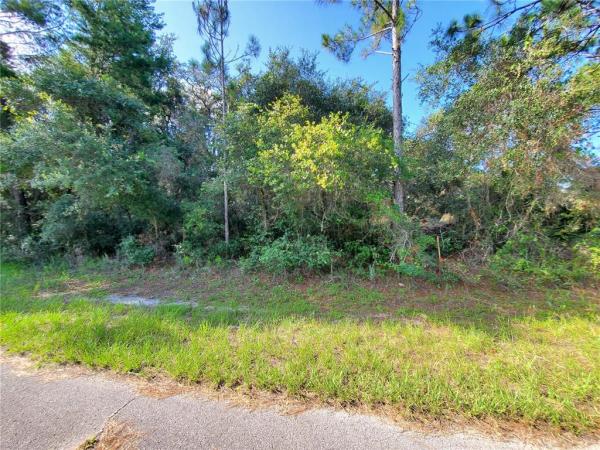 POINCIANA NBRHD 02 WEST VILLAGE 07