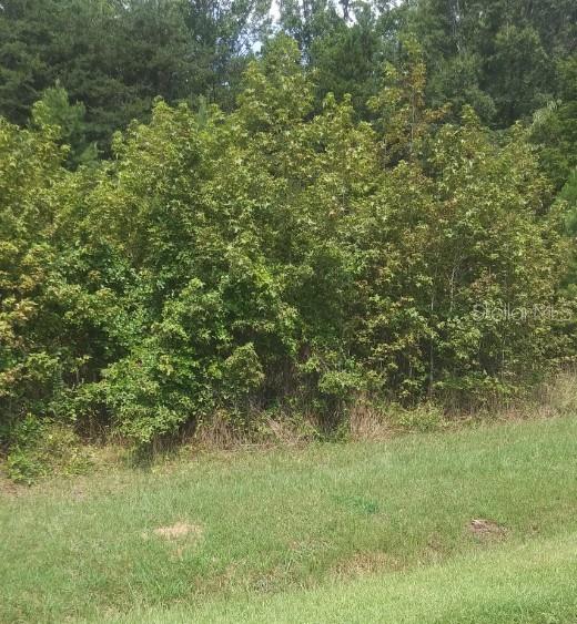 PORT CHARLOTTE SEC 94 01 STREP