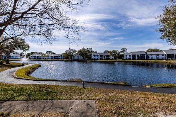 PINE RIDGE AT LAKE TARPON VILLAGE