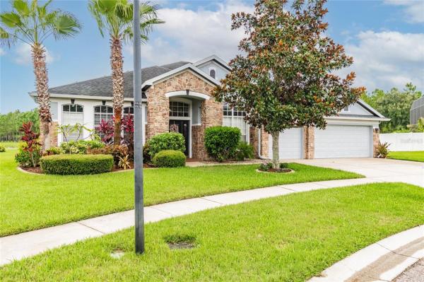 PANTHER TRACE PH 2A-1