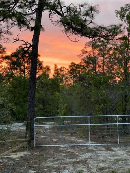 COUNTRY HAVEN ESTATES