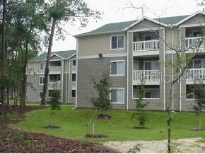 Countryside At The University