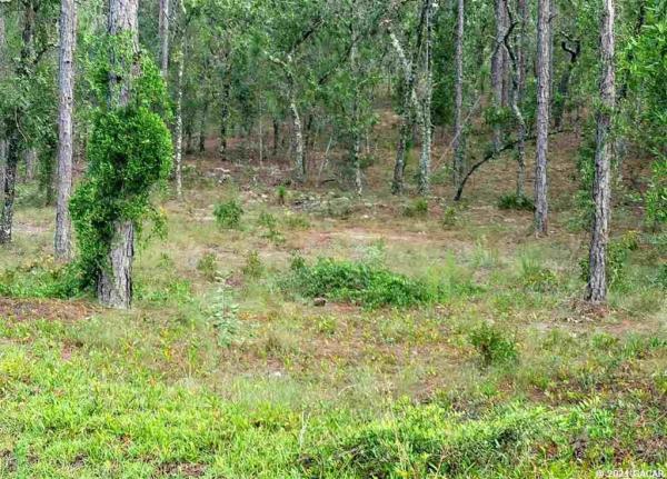 Rainbow Lakes Estates - Levy